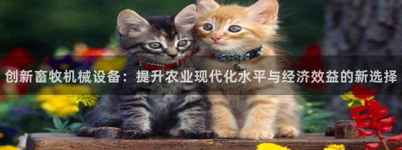 新鸿运娱乐平台