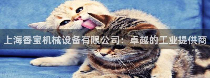 鸿运集团平台招聘要求