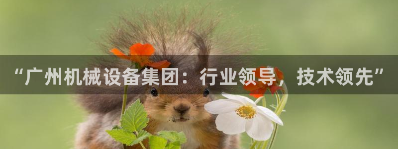 鸿运国际是什么游戏平台