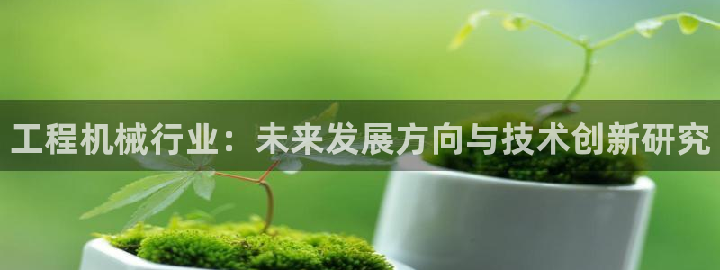 鸿运彩票平台登录不了