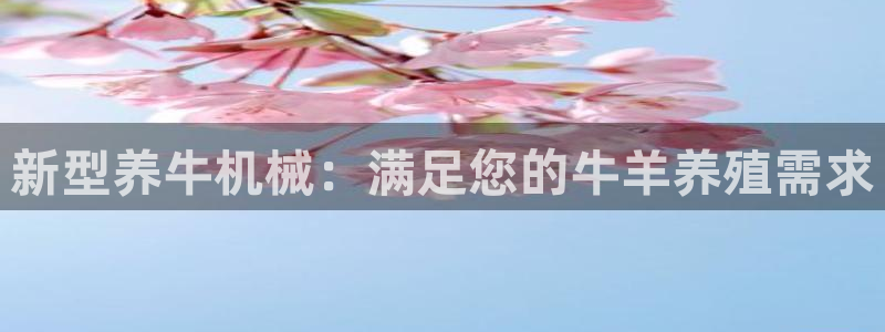 琥珀鸿运是啥平台