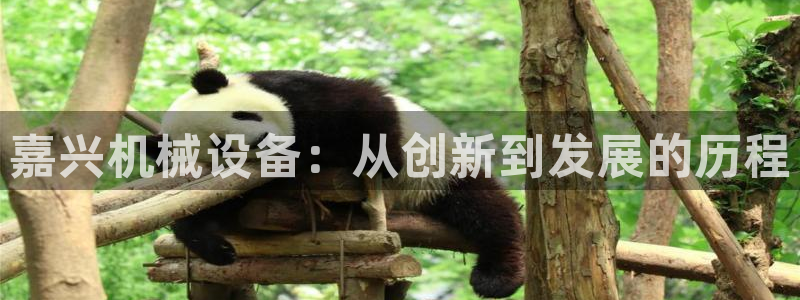 鸿运彩票平台登录不了