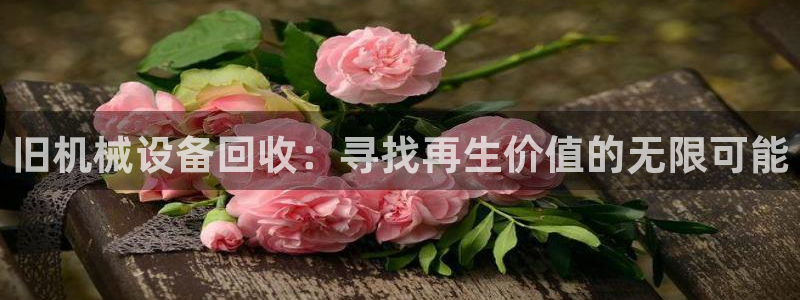 鸿运官网平台