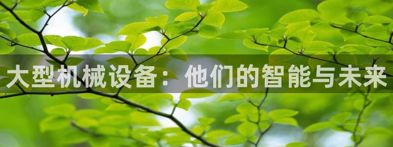 鸿运平台代理代