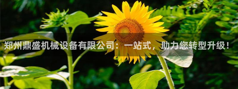 鸿运商滴管理平台