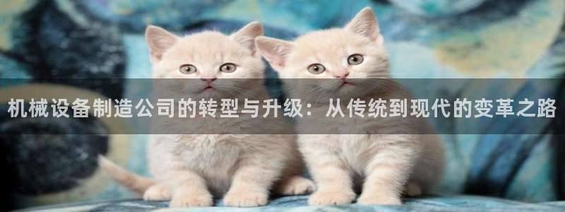 鸿运主播平台
