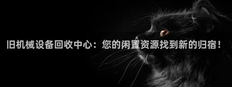 鸿运彩票平台的网址