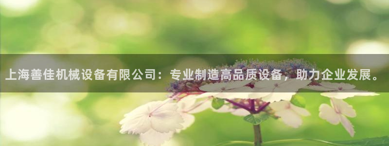 鸿运彩 票诈骗平台