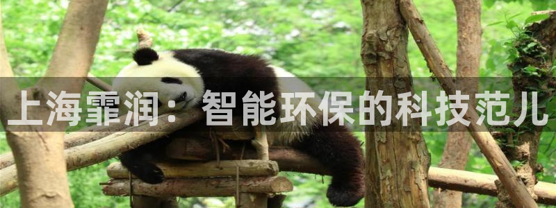 鸿运是哪里平台