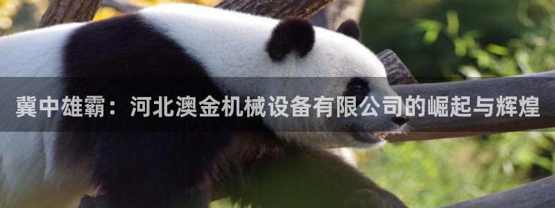 琥珀鸿运平台理财