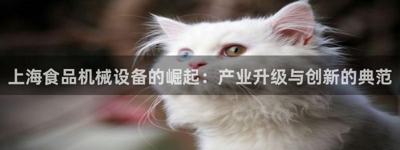 鸿运棋牌黑平台