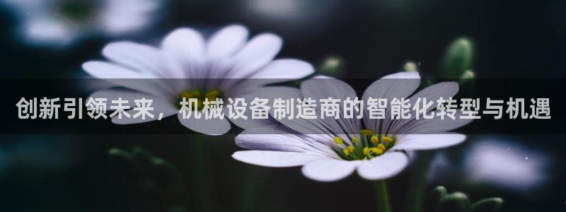 鸿运网平台是什么
