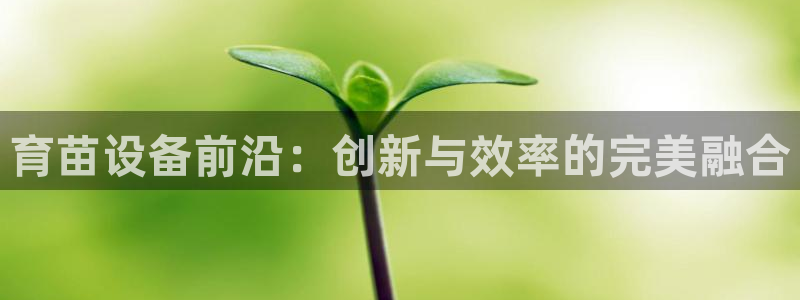 鸿运锦囊是什么平台