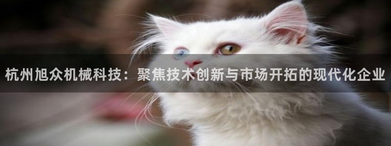 鸿运游戏直播平台