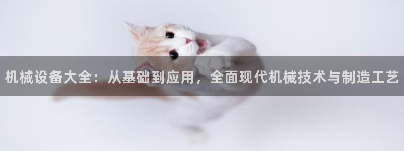 鸿运达交易拍卖平台