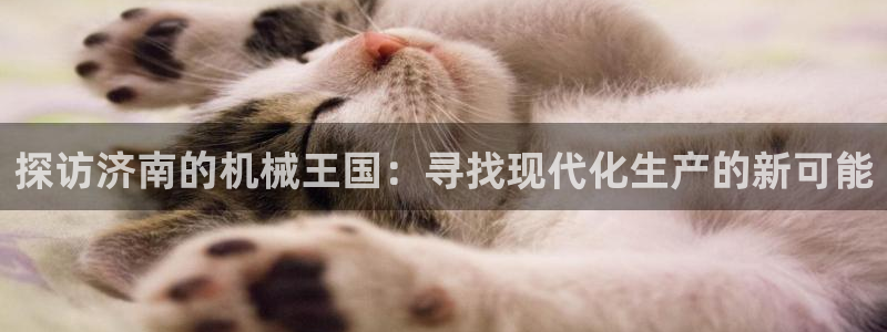 鸿运当头平台画