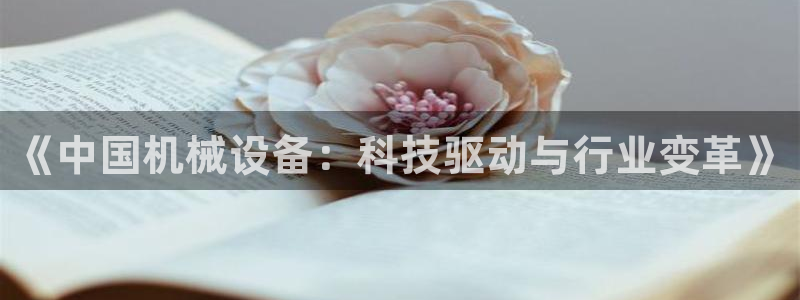 鸿运跑分平台