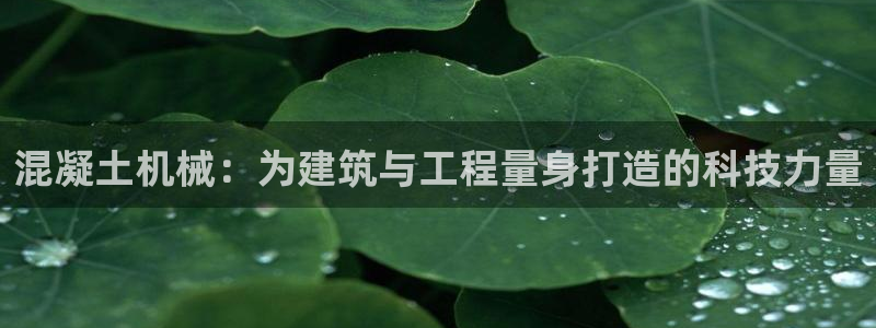鸿运棋牌app游戏平台
