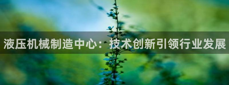 鸿运彩票是正常的平台吗