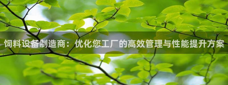 九九鸿运平台