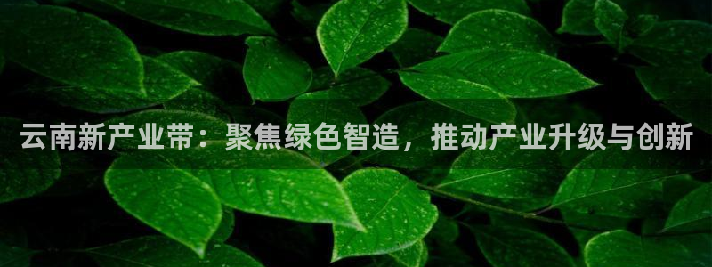 鸿运当头购物平台