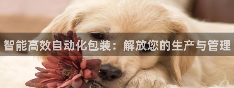 鸿运信投是平台
