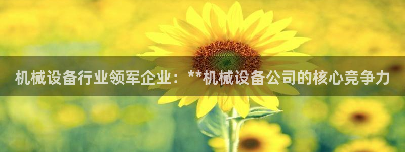 鸿运商城云平台