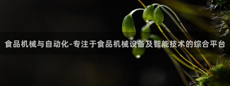 陇原鸿运平台