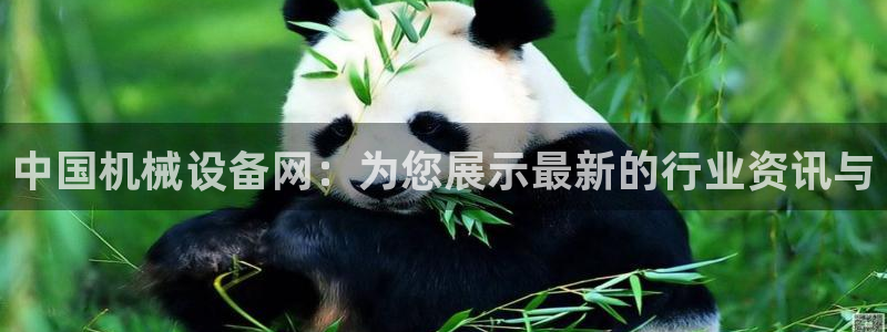 琥珀鸿运是个国际平台吗