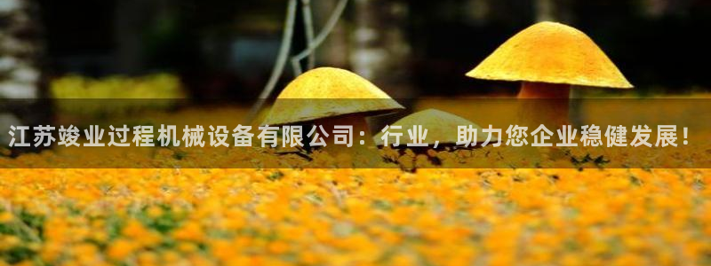 鸿运达交易拍卖平台