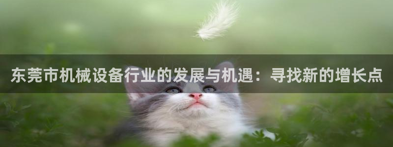 鸿运采平台