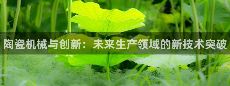 邹平台子鸿运