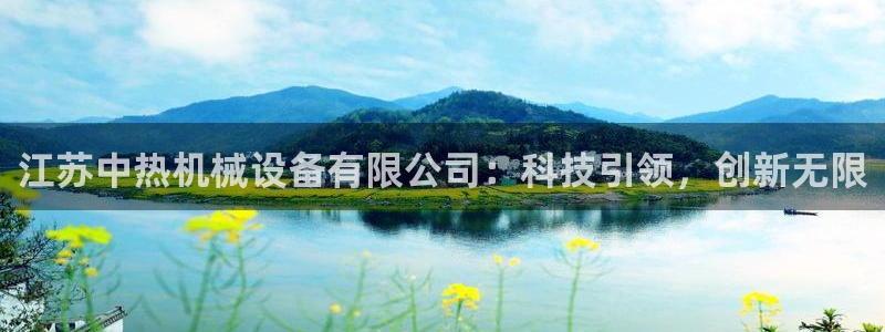 鸿运集团有几个平台