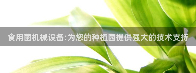 鸿运工厂直播平台