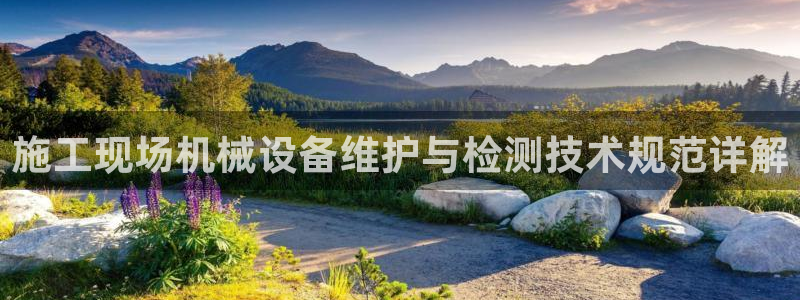 鸿运平台是大平台吗