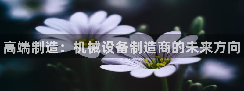 鸿运网平台是什么