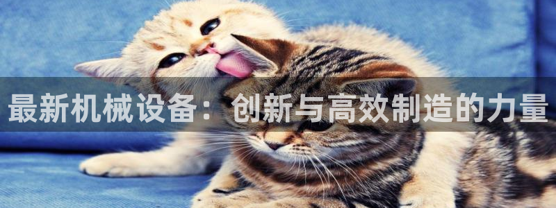 鸿运东方平台网站