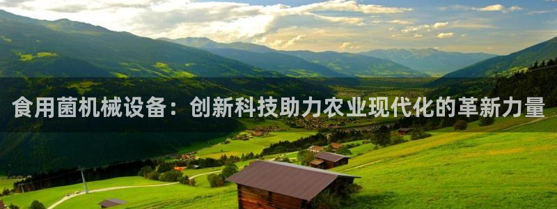 鸿运通借款平台