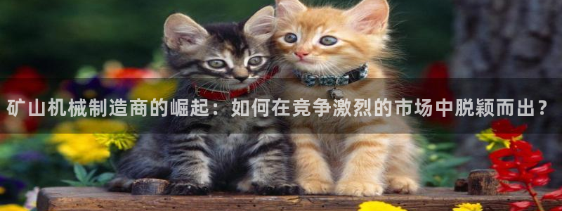 鸿运供应管理平台