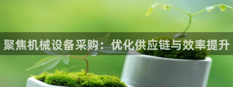 鸿运投资平台