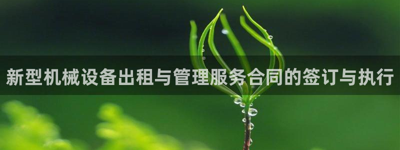 鸿运平台投资诈骗事件
