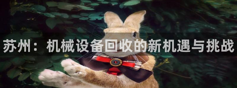 鸿运服务平台是什么