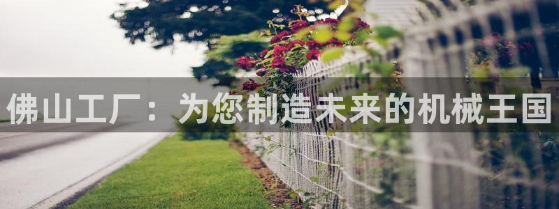 鸿运合拍字画拍卖平台