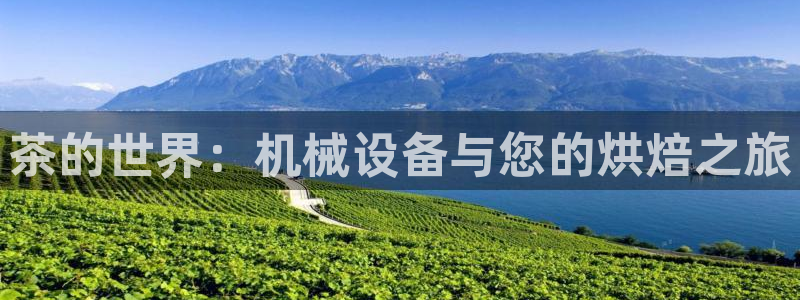 东方鸿运购物平台