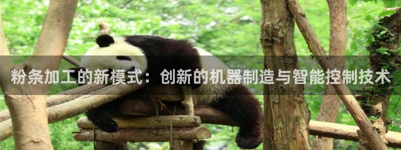 鸿运彩票平台带玩