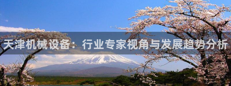 鸿运华宁技术平台