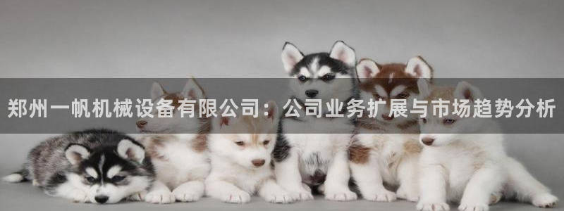 鸿运现场平台开户