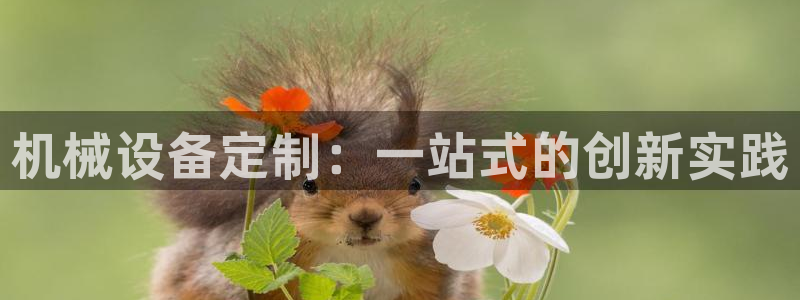 香港鸿运黑平台