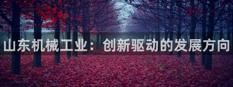 鸿运国际平台网址