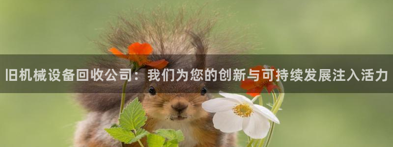 彩票鸿运网登录平台